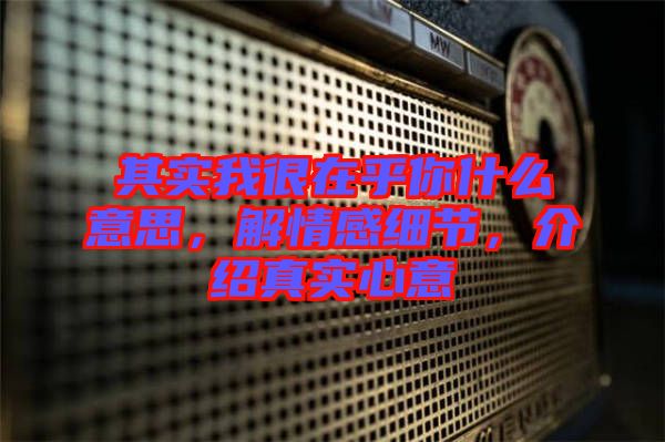 其實我很在乎你什么意思，解情感細(xì)節(jié)，介紹真實心意