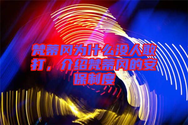 梵蒂岡為什么沒(méi)人敢打，介紹梵蒂岡的安保制度