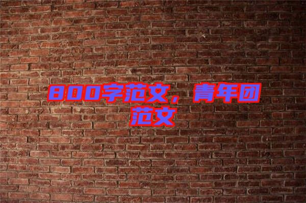 800字范文，青年團(tuán)范文