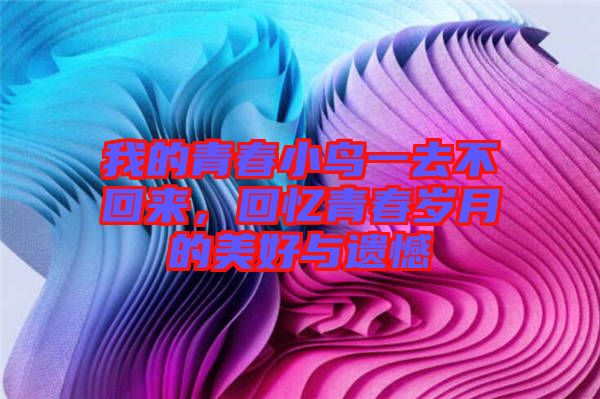 我的青春小鳥(niǎo)一去不回來(lái)，回憶青春歲月的美好與遺憾