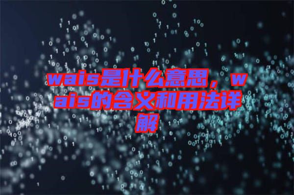 wais是什么意思，wais的含義和用法詳解