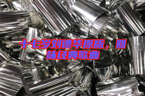十七歲劉德華原版，回味經(jīng)典歌曲