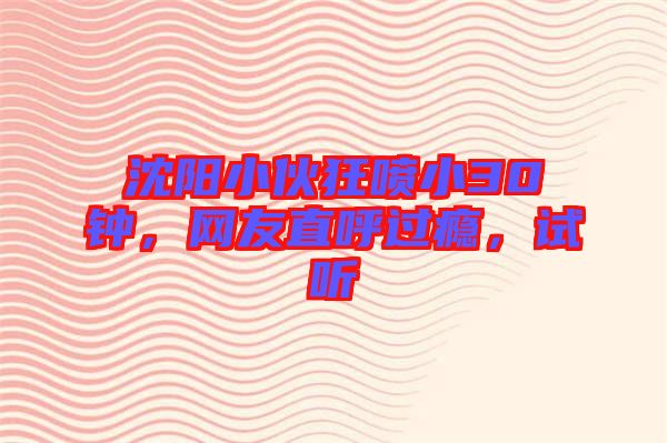 沈陽小伙狂噴小30鐘，網(wǎng)友直呼過癮，試聽