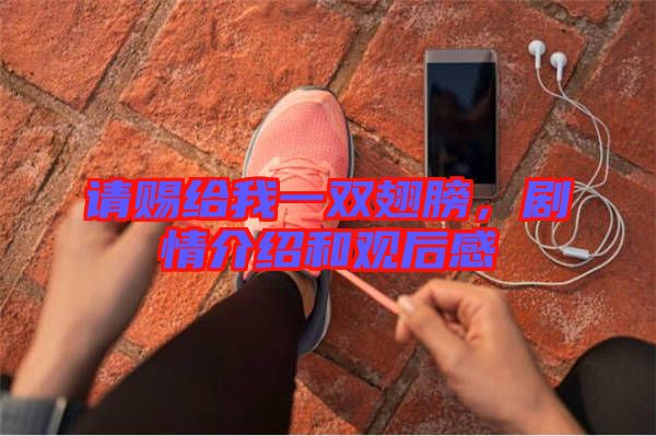 請賜給我一雙翅膀，劇情介紹和觀后感