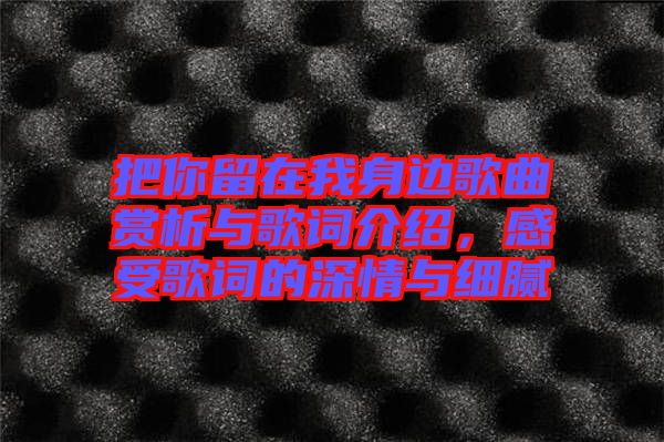 把你留在我身邊歌曲賞析與歌詞介紹，感受歌詞的深情與細(xì)膩