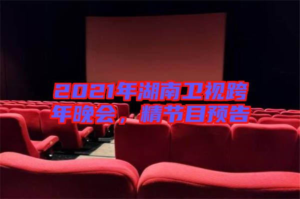 2021年湖南衛(wèi)視跨年晚會，精節(jié)目預(yù)告