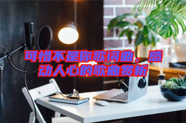 可惜不是你歌詞曲，感動(dòng)人心的歌曲賞析