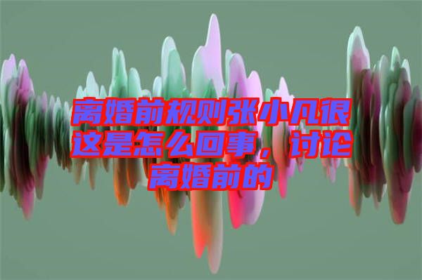 離婚前規(guī)則張小凡很這是怎么回事，討論離婚前的