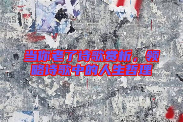 當(dāng)你老了詩(shī)歌賞析，領(lǐng)略詩(shī)歌中的人生哲理