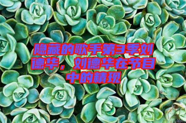 隱藏的歌手第3季劉德華，劉德華在節(jié)目中的精現(xiàn)