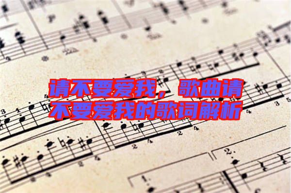 請不要愛我，歌曲請不要愛我的歌詞解析