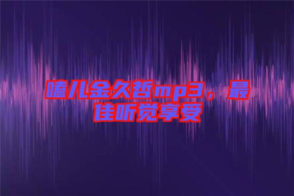 嗑兒金久哲mp3，最佳聽覺享受
