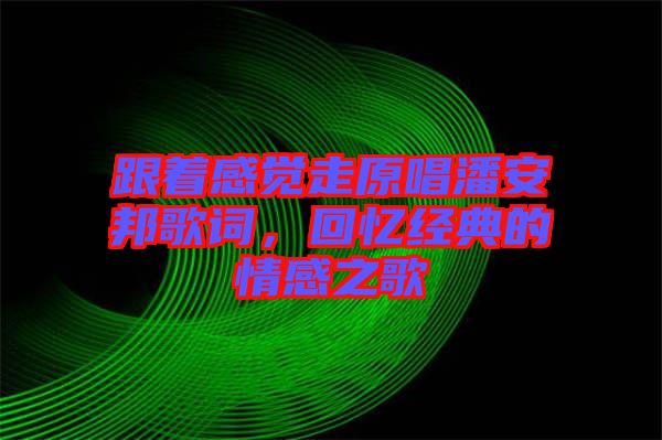 跟著感覺走原唱潘安邦歌詞，回憶經(jīng)典的情感之歌