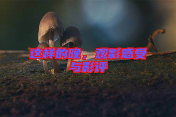這樣的晚，觀影感受與影評