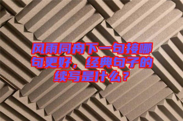風(fēng)雨同舟下一句接哪句更好，經(jīng)典句子的續(xù)寫(xiě)是什么？