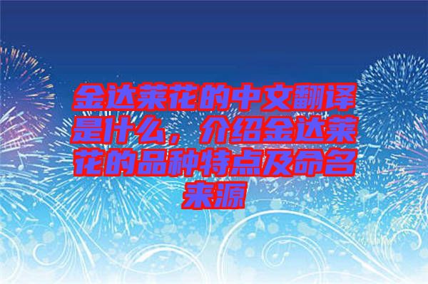 金達(dá)萊花的中文翻譯是什么，介紹金達(dá)萊花的品種特點(diǎn)及命名來源