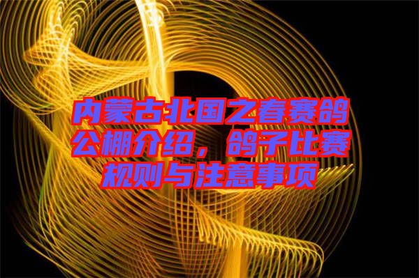內(nèi)蒙古北國之春賽鴿公棚介紹，鴿子比賽規(guī)則與注意事項