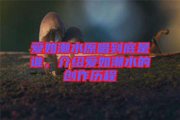 愛如潮水原唱到底是誰，介紹愛如潮水的創(chuàng)作歷程