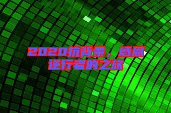 2020抗背景，感恩逆行者的之旅