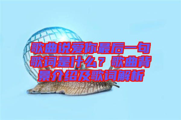 歌曲說(shuō)愛(ài)你最后一句歌詞是什么？歌曲背景介紹及歌詞解析