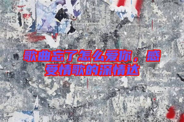 歌曲忘了怎么愛你，感受情歌的深情達(dá)