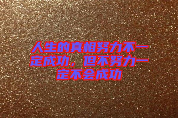 人生的真相努力不一定成功，但不努力一定不會(huì)成功