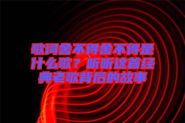 歌詞舍不得舍不得是什么歌？聽聽這首經(jīng)典老歌背后的故事