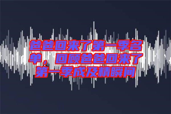 爸爸回來了第一季名單，回顧爸爸回來了第一季成及精瞬間