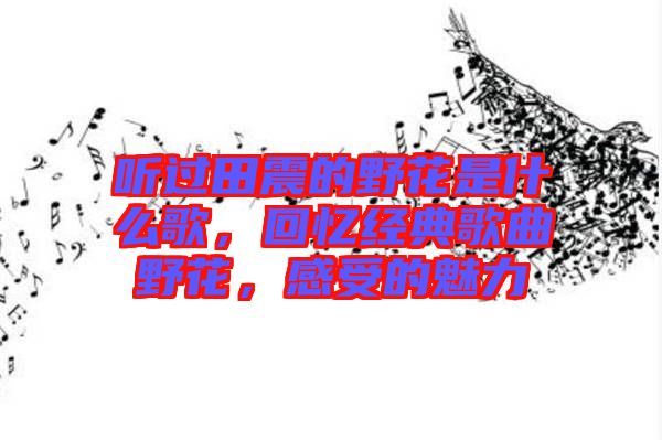 聽過田震的野花是什么歌，回憶經(jīng)典歌曲野花，感受的魅力