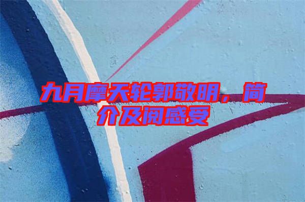 九月摩天輪郭敬明，簡介及閱感受