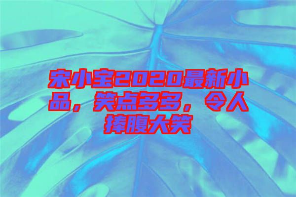 宋小寶2020最新小品，笑點多多，令人捧腹大笑