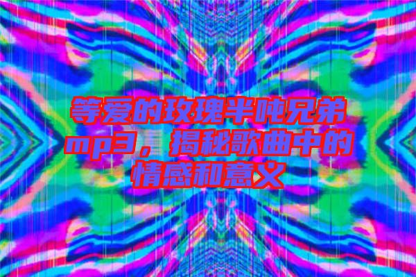 等愛的玫瑰半噸兄弟mp3，揭秘歌曲中的情感和意義