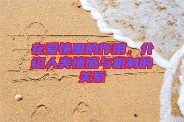 在愛(ài)情里的作用，介紹人類情感與機(jī)制的關(guān)系