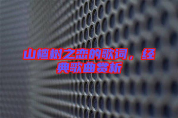 山楂樹之戀的歌詞，經(jīng)典歌曲賞析