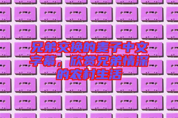 兄弟交換的麥子中文字幕，欣賞兄弟情深的農(nóng)村生活