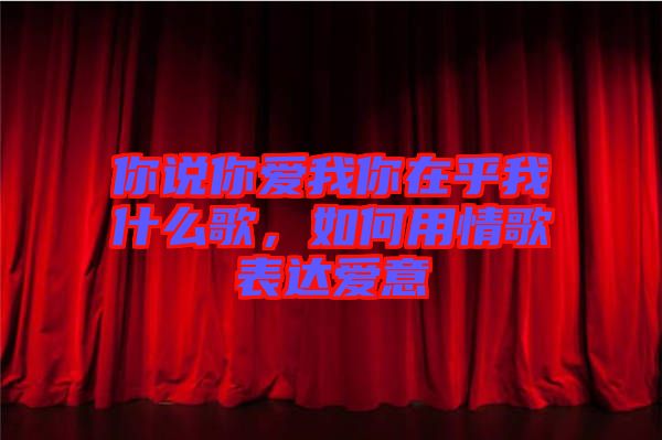 你說你愛我你在乎我什么歌，如何用情歌表達愛意