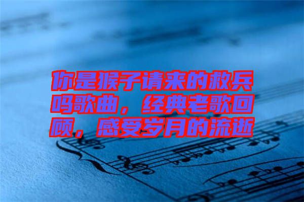你是猴子請來的救兵嗎歌曲，經典老歌回顧，感受歲月的流逝