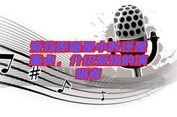 愛殤原唱是小時還是董貞，介紹愛殤的演唱者