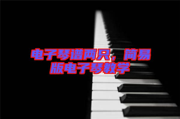 電子琴譜兩只，簡易版電子琴教學(xué)