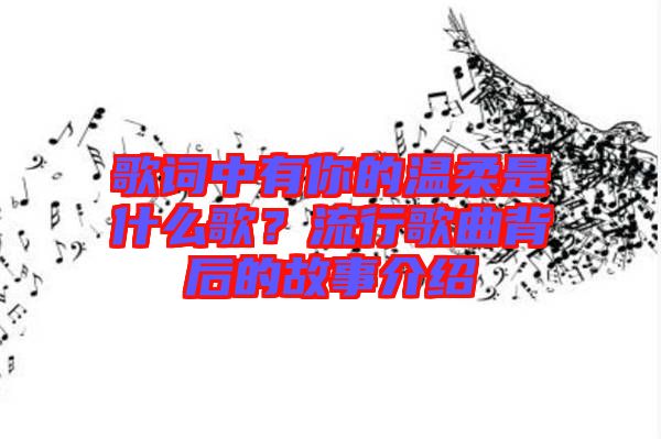 歌詞中有你的溫柔是什么歌？流行歌曲背后的故事介紹