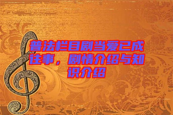 普法欄目劇當愛已成往事，劇情介紹與知識介紹