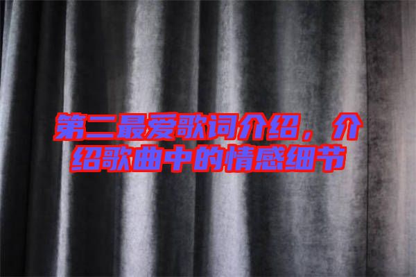 第二最愛歌詞介紹，介紹歌曲中的情感細(xì)節(jié)