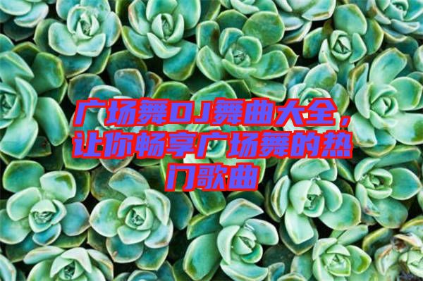 廣場(chǎng)舞DJ舞曲大全，讓你暢享廣場(chǎng)舞的熱門(mén)歌曲