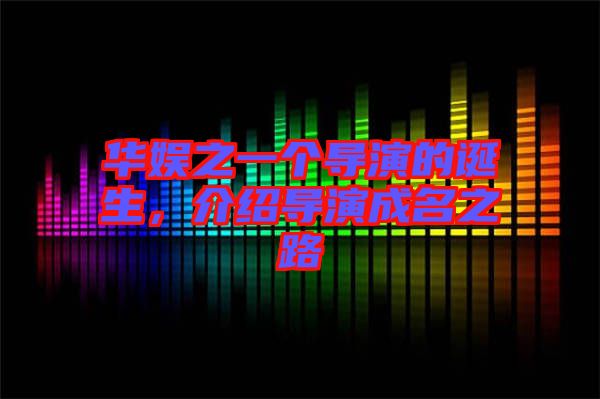 華娛之一個導(dǎo)演的誕生，介紹導(dǎo)演成名之路