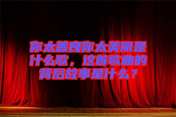 你太善良你太美麗是什么歌，這首歌曲的背后故事是什么？