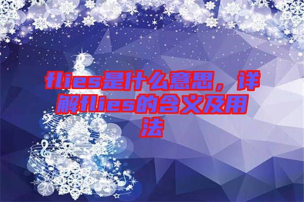 flies是什么意思，詳解flies的含義及用法