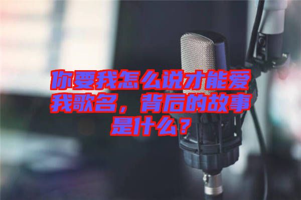 你要我怎么說才能愛我歌名，背后的故事是什么？
