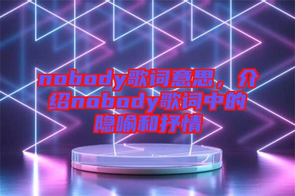nobody歌詞意思，介紹nobody歌詞中的隱喻和抒情