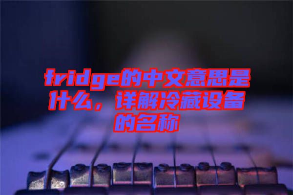 fridge的中文意思是什么，詳解冷藏設(shè)備的名稱