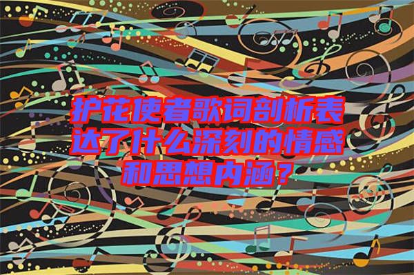 護(hù)花使者歌詞剖析表達(dá)了什么深刻的情感和思想內(nèi)涵？